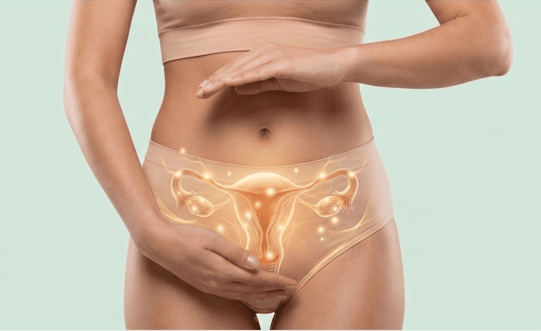 임신산후조리 프로그램