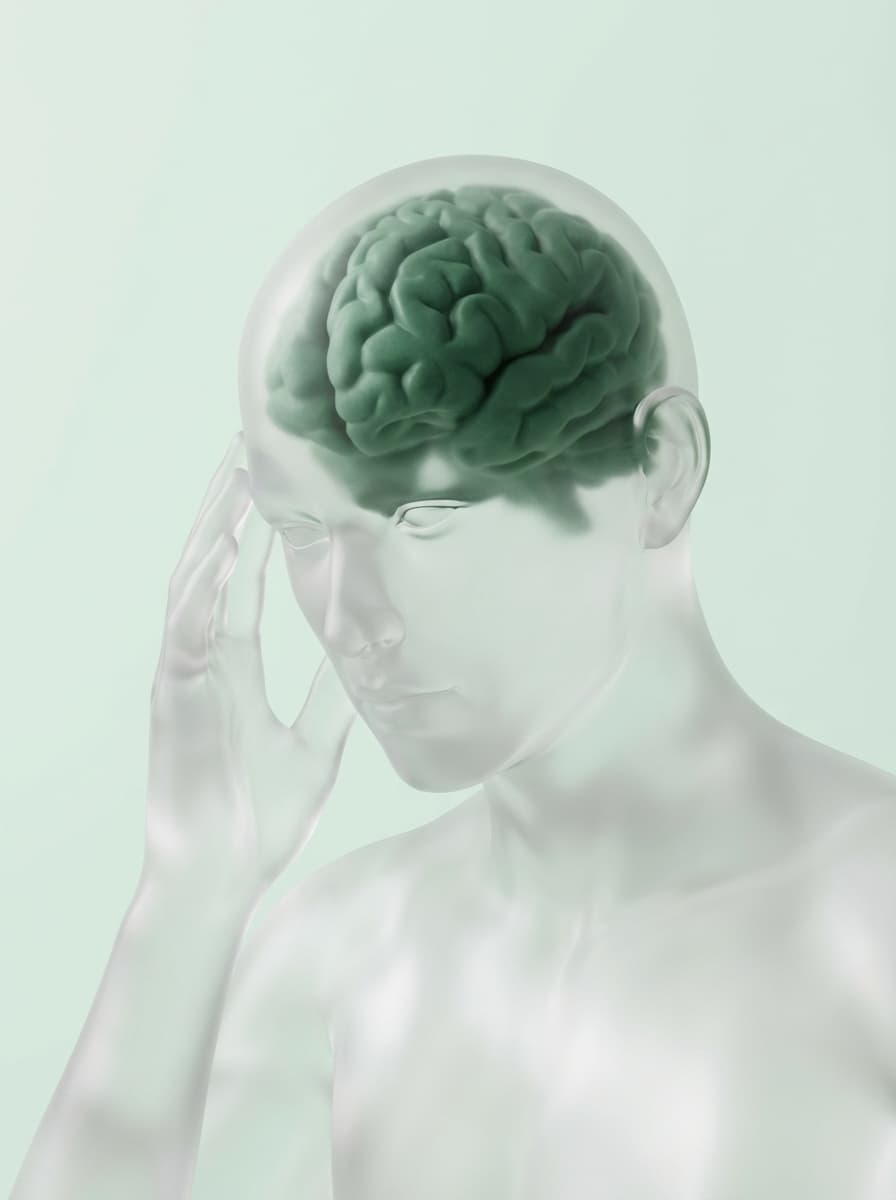 Brain & Autonomic Nerve Recovery Program